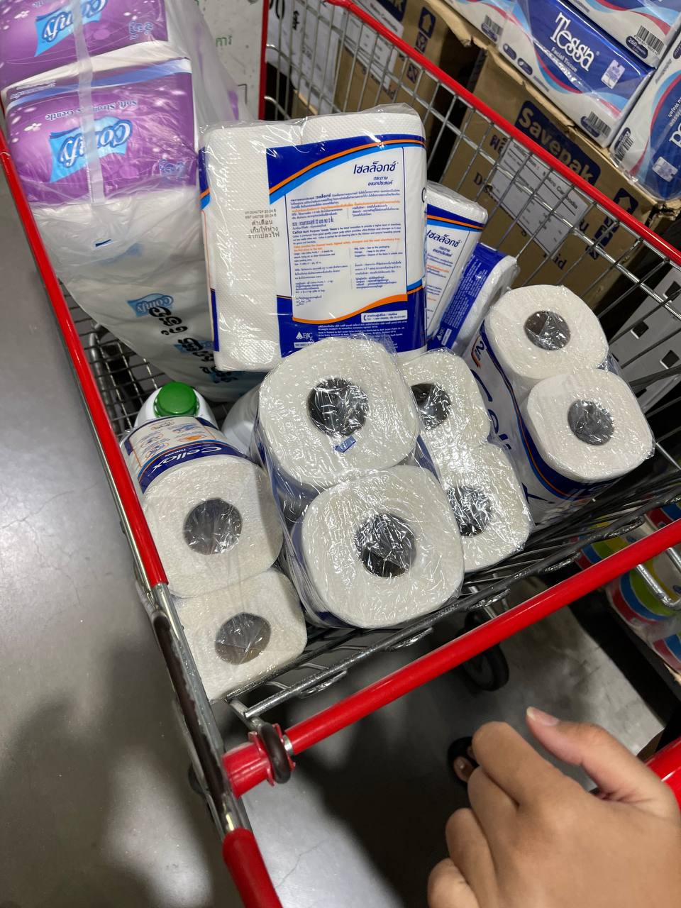 High-Quality Product Showcase